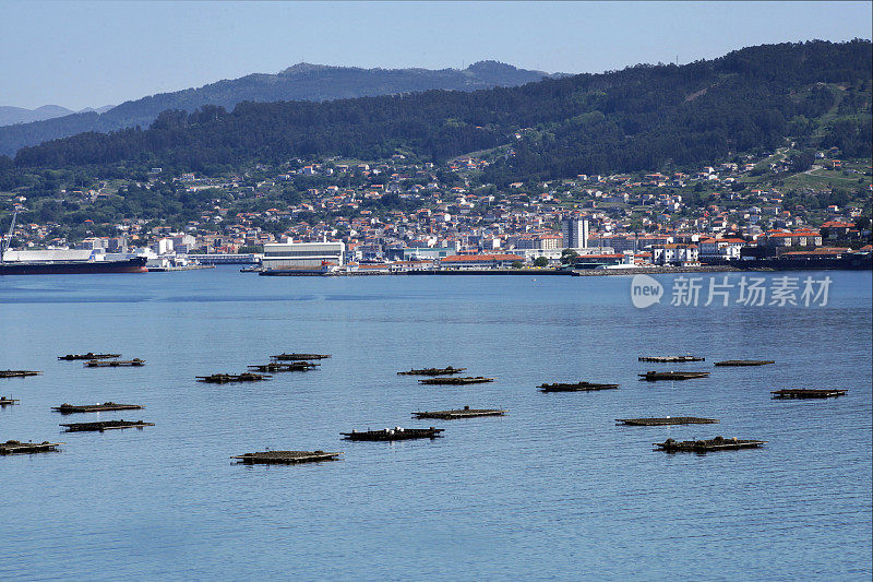 Ria de Pontevedra, bateas和Marín村背景在Rías Baixas, Pontevedra省，加利西亚，西班牙。